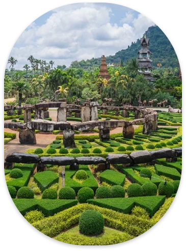 Tropical Garden